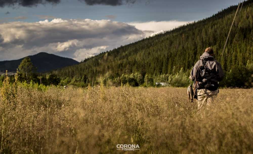 wędkarstwo skandynawia